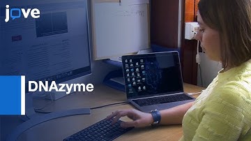 DNAzyme-dependent Analysis of rRNA O-Methylation | Protocol Preview