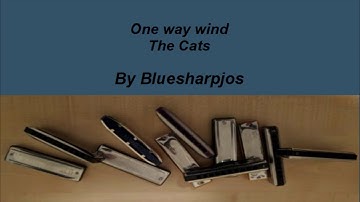 One way wind, The Cats, Bluesharpjos