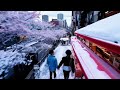 OpenAI Sora: AI Text-to-Video in Snowy Tokyo ❄️