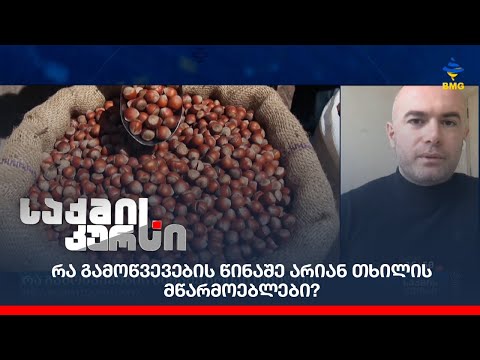 რა გამოწვევების წინაშე არიან თხილის მწარმოებლები?