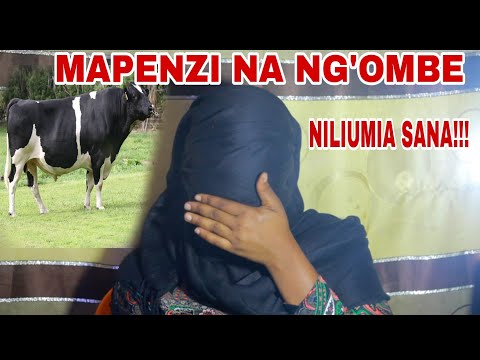 NILIFANYA MAPENZI NA NG OMBE NIKAPATA MIMBA 10 NILIUMIA SANA DUDULA NG OMBE NI KUBWA ALINIDYOBEKA