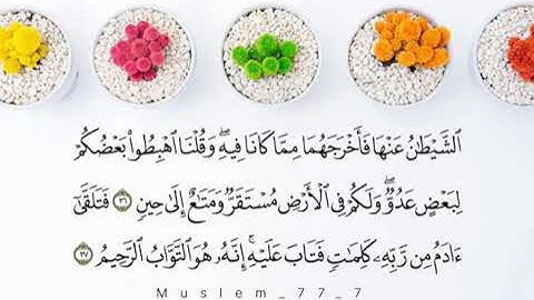 سورة البقرة مكتوبة  للشيخ محمد اللحيدان @tela.wat.m