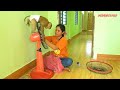 Adorable Monkey Kako Helping Mom Cleaning Electric Fan