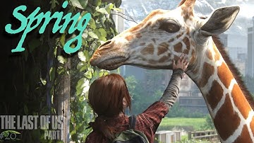 Spring - The Last Of Us Part 1 - #20 (2022 PS5) Full Gameplay