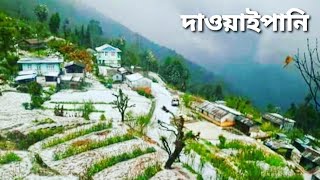 Dawaipani near Darjeeling ↑ Travel Vlog No. 95 with Santanu Ganguly