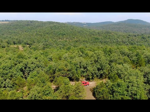 Gorgeous 6.627 Acres in the Ozarks! Owner Financed Land for Sale - InstantAcres.com - ID#CH14