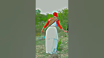 Cabd Wali Xasan Dhuux Iyo Filsan Wiil Ku Jecel Jid Masada Marteen 