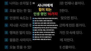 시니어에게 힘이 되는 인생 명언 10가지  #시니어 #명언 #노인 #지식 #인생