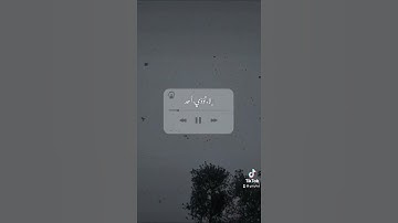 ماهر المعيقلي - سورة الزمر