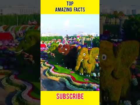 Miracle Garden Dubai 2022 |  Dubai City | Dubai Flower Garden | #shorts #miraclegardendubai