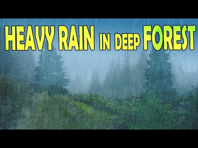 🎧 Heavy Rain & Thunder in Deep Forest - Ambient Sleep & Meditation Sounds, @Ultizzz day#80