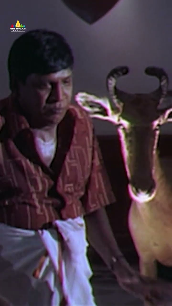 Vadivelu Hilarious Horror Comedy | #chandramukhi | #ytshorts | #youtubeshorts | #sribalajivideo