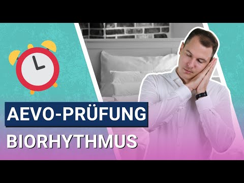 Ausbilderschein Prüfungswissen: Biorhythmus (AEVO IHK/HWK)