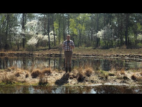 Een Oorlog Reeds Verloren #2.12: Je maintiendrai