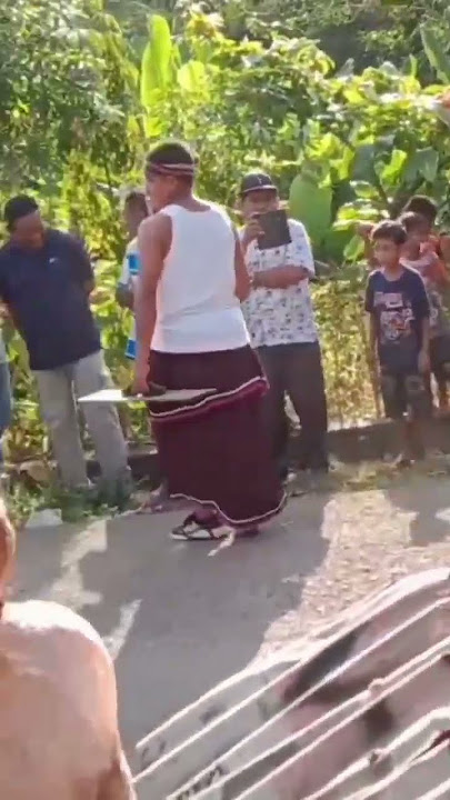 Tarian Perang (khas Adonara Lamaholot) ✅▶️ #shortsyoutube #adonara