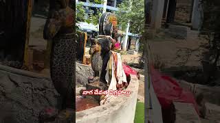#నాగ దేవతల విగ్రహాలు powerfull #shorts...