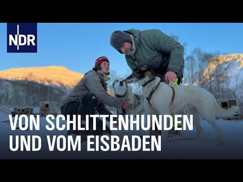 Video: November in Skandinavien: Wetter- und Veranst altungsführer