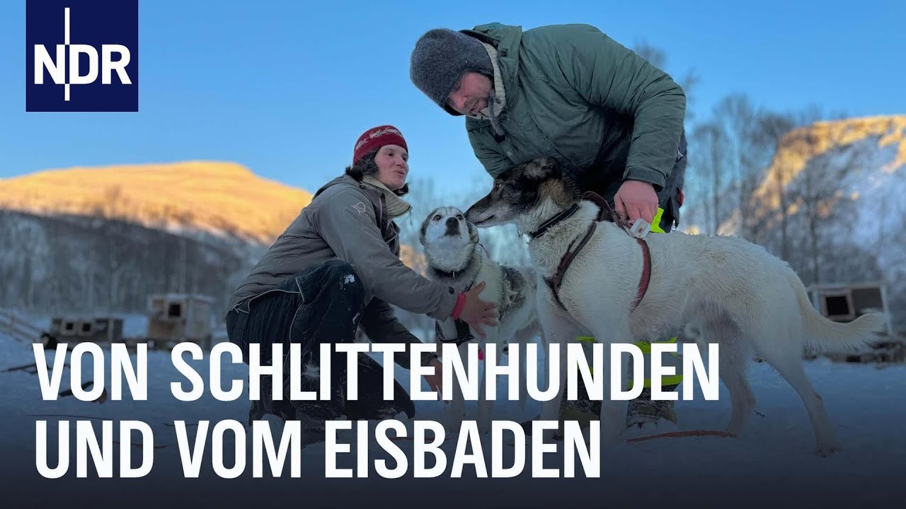 Winter in Norwegen - Glücklich durch die dunkle Jahreszeit | Nordseereport | NDR Doku