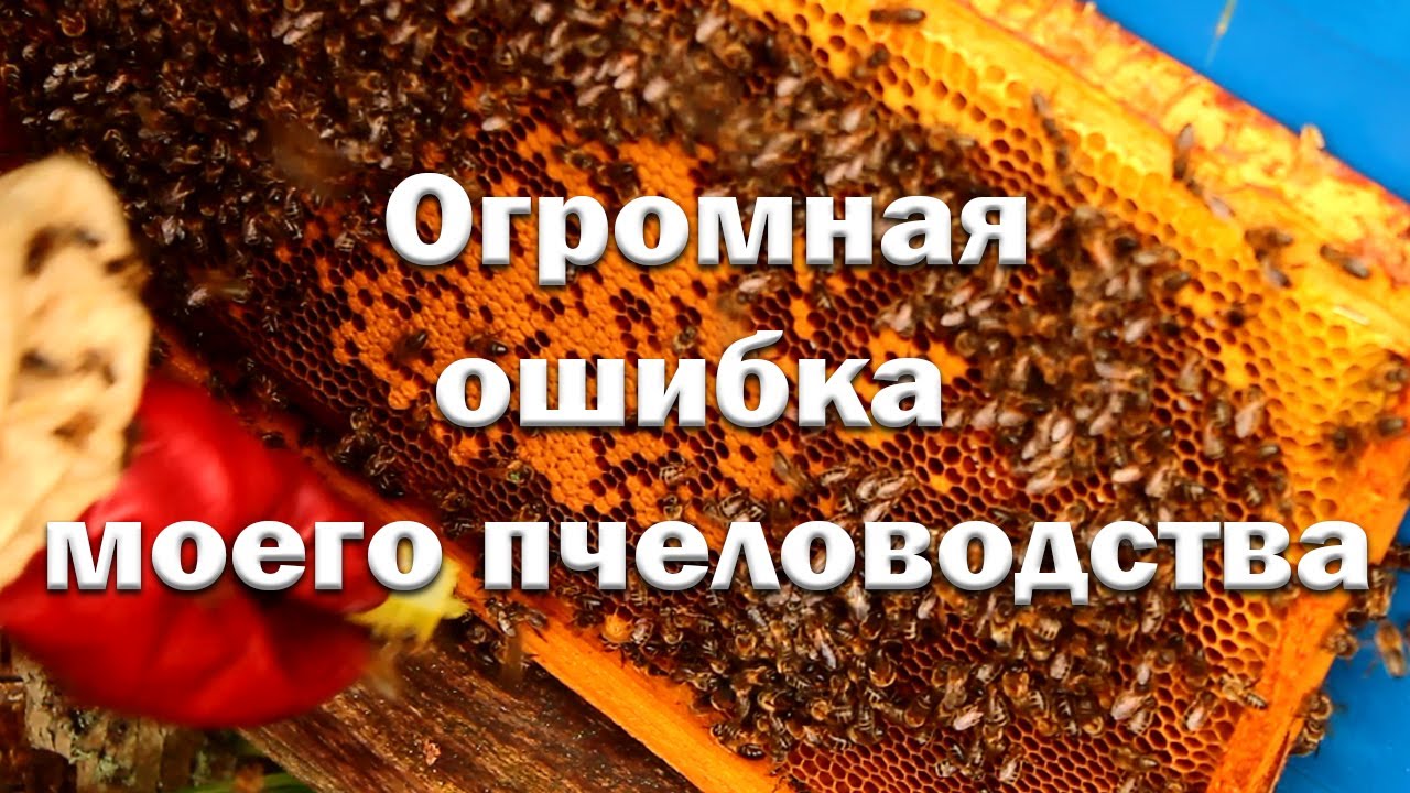 Автомобиль для пчеловода