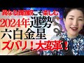 【占い】2024年六白金星さん運勢「ズバリ大変革のタイミング!✨自分とは違う価値観を受け入れて世界観が拡がる1年」全体・前半・中盤・後半・3つの開運アクション