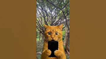 SURPRISE 