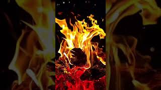 Alcam Dedi̇ysem Alirim - İthaldamat