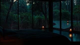 Peaceful Forest Rain: Soft Rain Falling on Trees for Sleep, Focus & Meditation screenshot 3