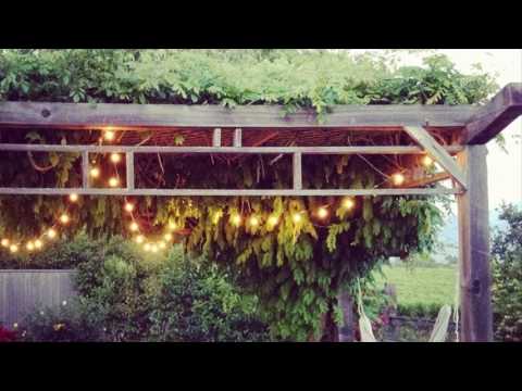 Home Lighting Outdoor String Lights Garden