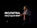 Андрей Тищенко /«Молитва несущая мир» / 28.05.2022 г. Киев