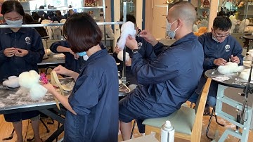 Khoá học cắt tỉa lông chó tại Lanlan Pet