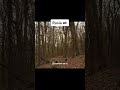 Cosas escalofriantes que encontraron en un bosque | #increible #perturbador #inquietante