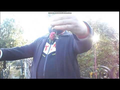 ასე ამხელა მუტელი