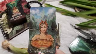 Wild Reflections Tarot Review