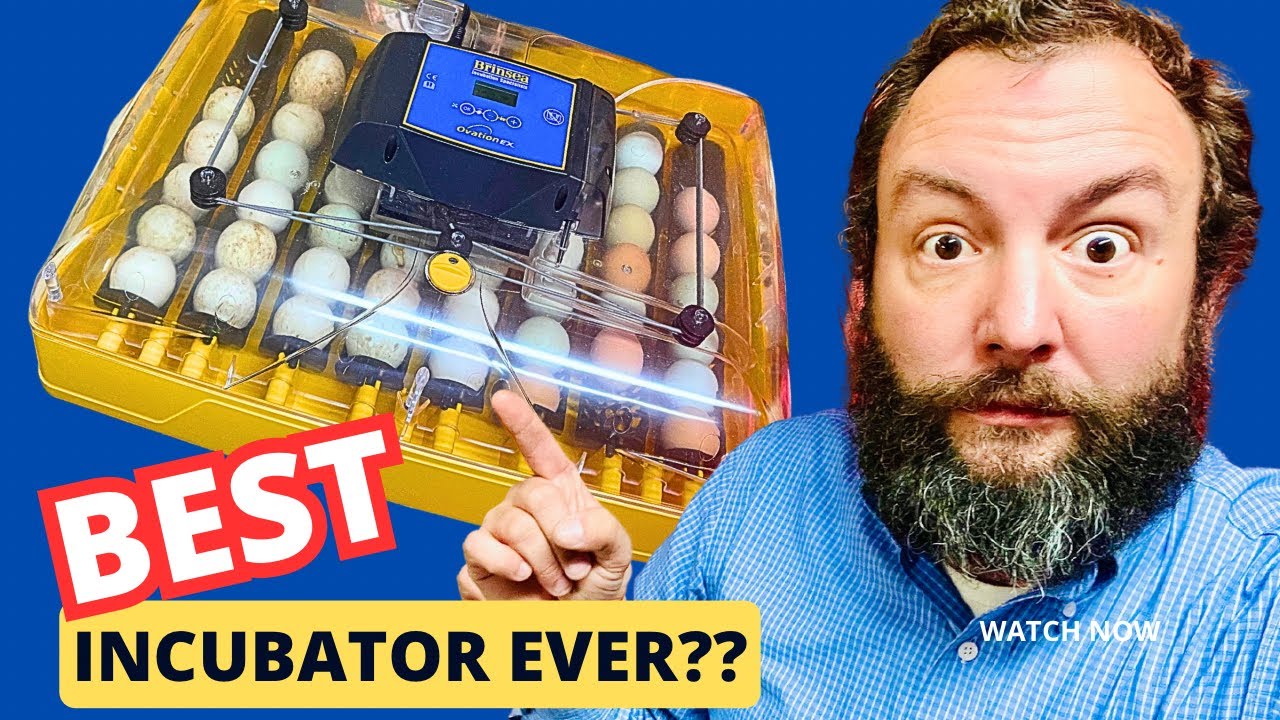 Ovation 56EX! ЛУЧШИЙ инкубатор ВСЕХ ВРЕМЕН! Распаковка.