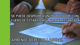 SE PUEDE DESPEDIR A UN TRABAJADOR CON FUERO DE ESTABILIDAD REFORZADA