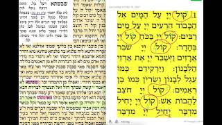 דף יומי מסכת פסחים דף קיב Daf yomi Pesachim 112. להצלחת נאור בראון.