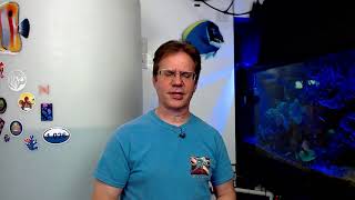 Let's talk about Montipora
