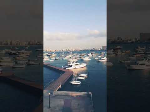 اسكندرية تاني