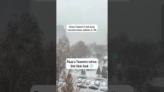 Зима В Ташкенте ❄️