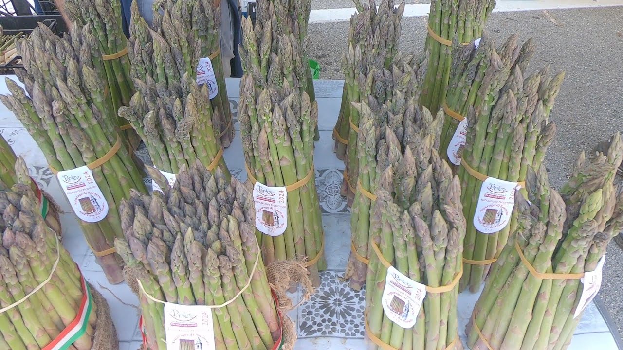 91° Sagra dell'asparago di Santena