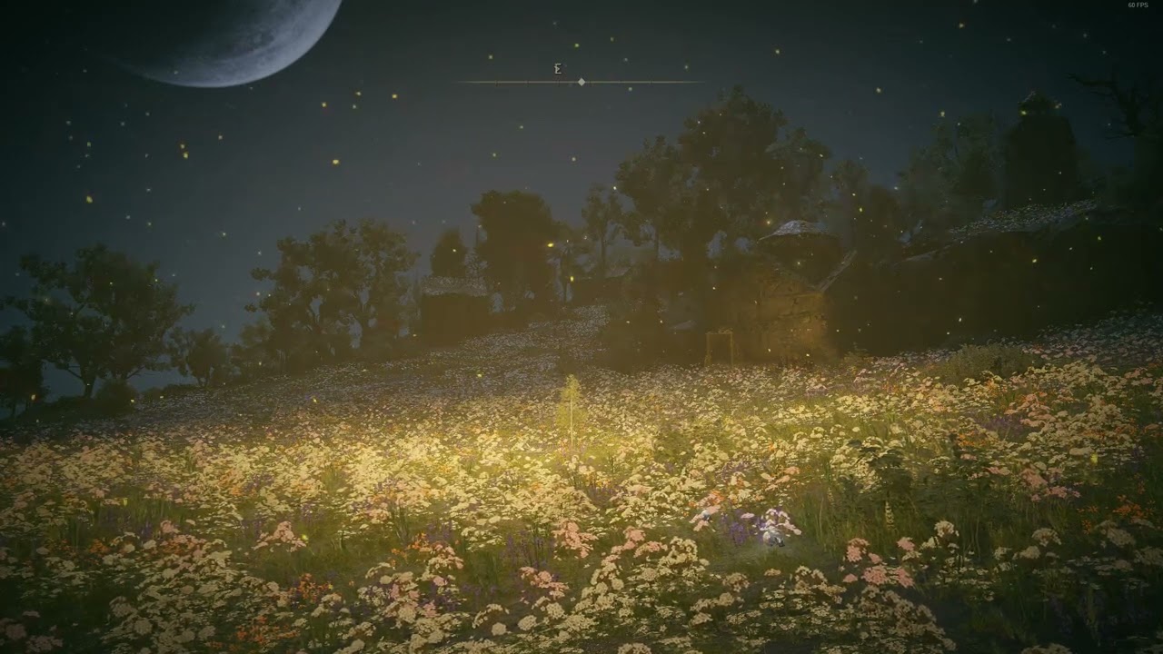 Elden Ring DLC Shaman Village - 1 Hour Ambient BGM 1440p