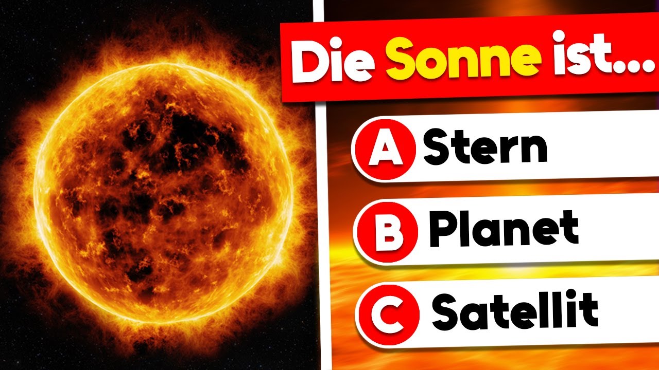 Das große Allgemeinwissen-QUIZ - 50 Fragen die jeder wissen sollte!