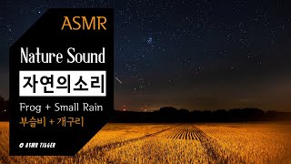 [ASMR Nature] 부슬비내리는 밤 + 개구리소리 | 할머니댁, 시골, ambience, sleeping, 자연의소리, 불면증, 입체음향, 수면, small rain