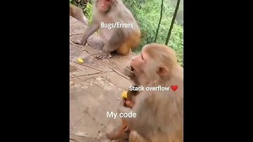 stack overflow