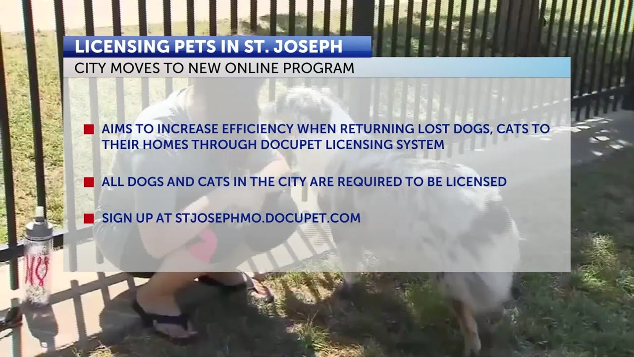 Animal Services moves to new online licensing system for pets