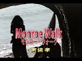 (カラオケ) Monroe Walk / 南佳孝