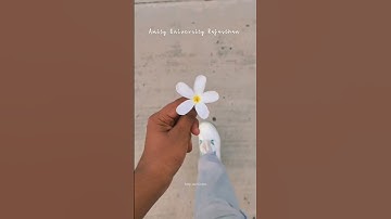 Amity University Rajasthan Jaipur #amityuniversityjaipur #httpsachinnn