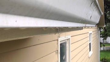 Leaf Proof Guttter Guards