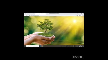 Set Background Image in HTML | Background Image #html #css #shorts