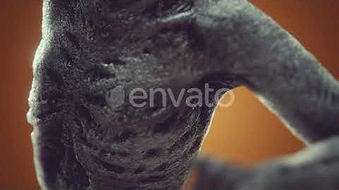 Horrible Scary Zombie Man | Motion Graphics - Envato elements